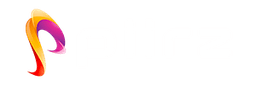 PiirZ logo